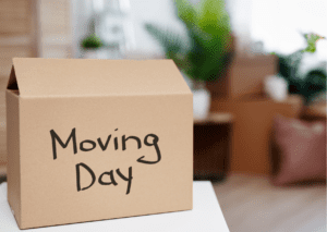 moving day storage box