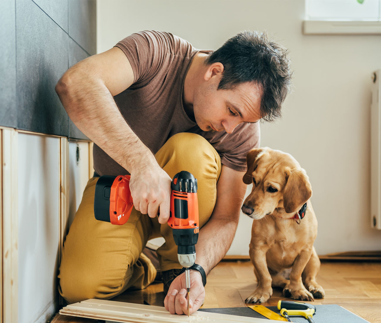 man-doing-home-renovations-dog-watching